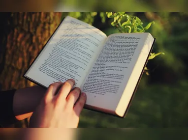 Coleção reúne três opções de spray: Chá na Varanda, Inverno e Livro Novo