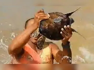 Vítima ficou presa às ferragens e foi socorrida pelo Samu a um hospital da região