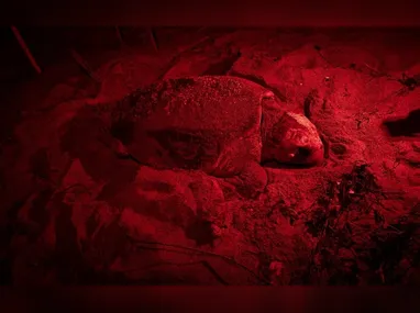 Trecho seguirá interditado até o fim de semana