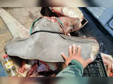 Mercadorias localizadas pela polícia