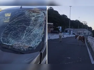Mesmo prematuro, o pequeno Benedito, que recebeu o nome do avô, passa bem e já está no quarto com a mãe.