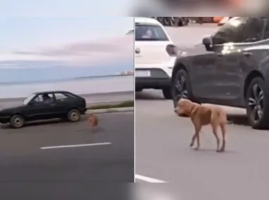 Suspeito foi encaminhado para a Delegacia Regional de Linhares