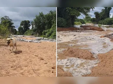 Crianças eram expostas a situações inadequadas no Roblox