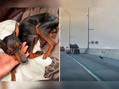 "O abandono da mulher é uma realidade mais comum do que gostaríamos. Porque nós somos socializadas para cuidar do outro”, Gabriela Prioli, advogada