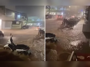 Tilápia produzida no Espírito Santo