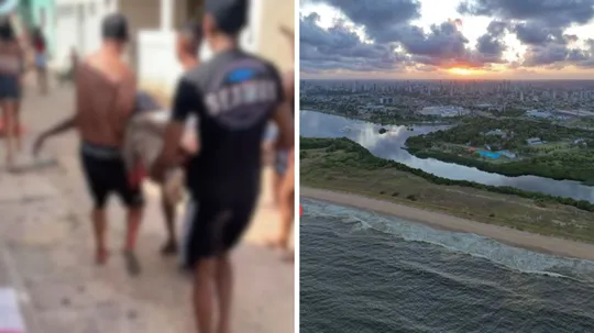 Imagem ilustrativa da imagem Adolescente de 13 anos morre após mordida de tubarão em Olinda