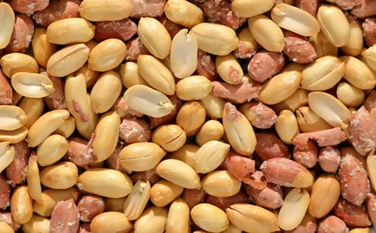 Imagem ilustrativa da imagem Amendoim: vilão ou aliado contra colesterol?