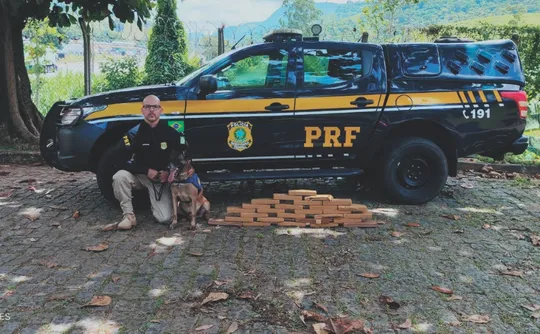 Imagem ilustrativa da imagem ES registra apreensão de quase 10 toneladas de drogas em um ano