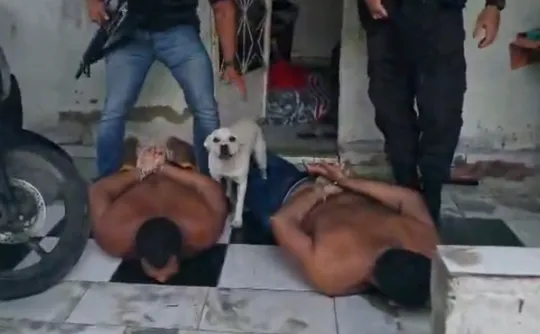 Imagem ilustrativa da imagem Foragidos por roubos de cargas em rodovias do ES são presos em operação no RJ