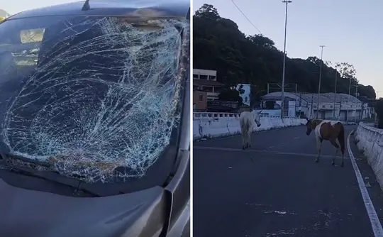 Imagem ilustrativa da imagem VÍDEO | Carro fica destruído após atropelar cavalos na descida da Segunda Ponte
