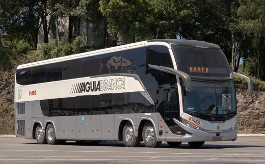 Imagem ilustrativa da imagem Viação Águia Branca lança ônibus retrô para celebrar os 80 anos de fundação