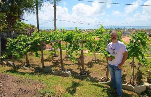 Imagem ilustrativa da imagem Vinho e maresia: Alessandro Albertini resgata uva extinta há 500 anos em Itamaracá