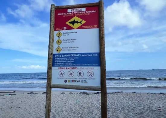 Imagem ilustrativa da imagem Adolescente de 13 anos morre após ser mordido por tubarão em praia de Pernambuco
