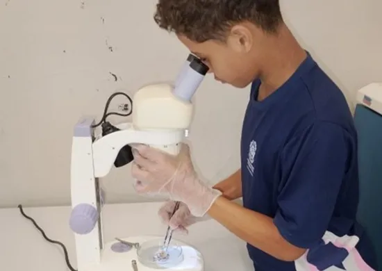 Imagem ilustrativa da imagem Aluno capixaba é finalista de prêmio internacional com projeto de bioplástico