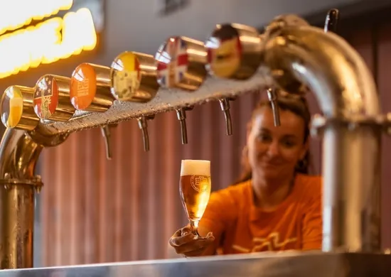 Imagem ilustrativa da imagem Ambev abre 6 mil bolsas para mulheres no curso Cervejeira Sou Eu