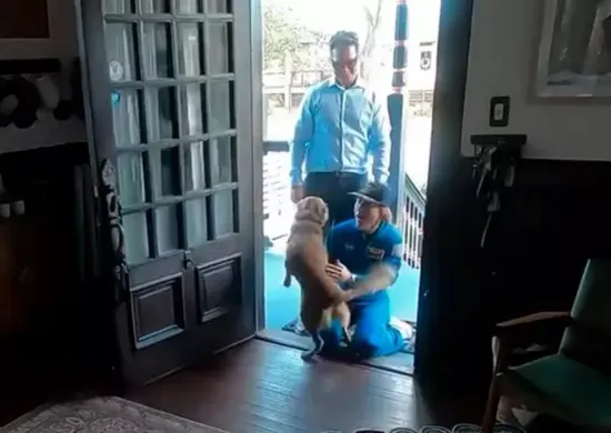 Imagem ilustrativa da imagem Astronauta da Artemis II grava reencontro com cachorro de estimação após missão