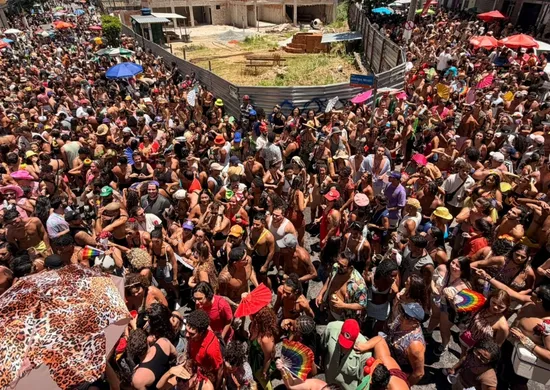 Imagem ilustrativa da imagem Bloco Amigos da Onça comemora 10 anos e agita o Centro de Vitória