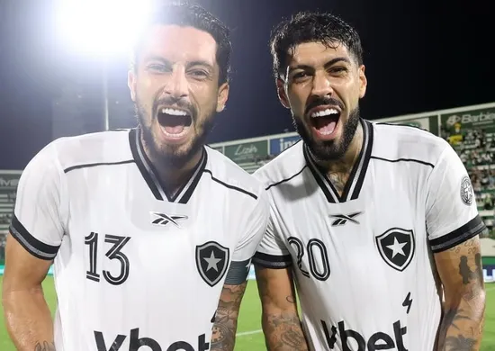 Imagem ilustrativa da imagem Botafogo atropela em 20 minutos, goleia Chape e pega elevador no Brasileiro