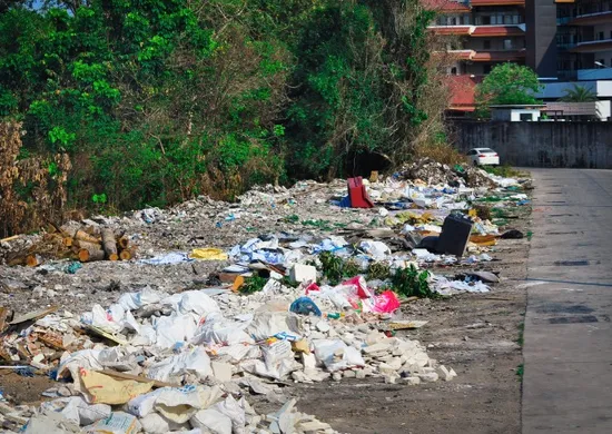 Imagem ilustrativa da imagem Câmara aprova multa para quem descartar lixo em vias públicas