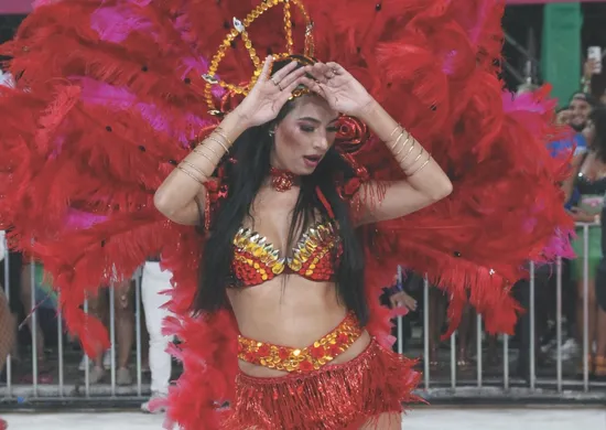 Imagem ilustrativa da imagem Campeã do carnaval capixaba será conhecida hoje