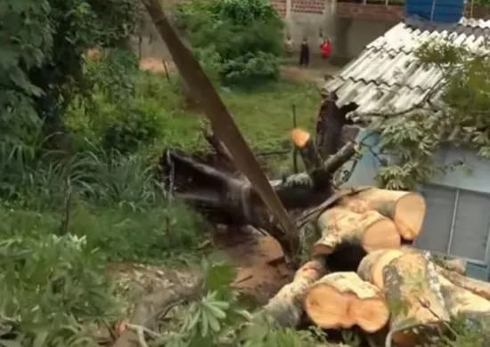 Imagem ilustrativa da imagem Chuvas deixam oito famílias desalojadas e causam 52 ocorrências em Paulista