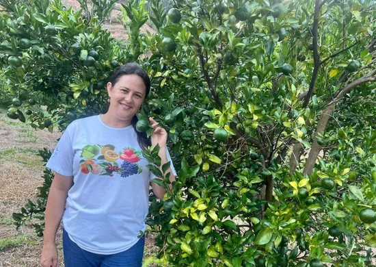 Imagem ilustrativa da imagem Conceição do Castelo: turismo rural cresce com safra de tangerina ponkan