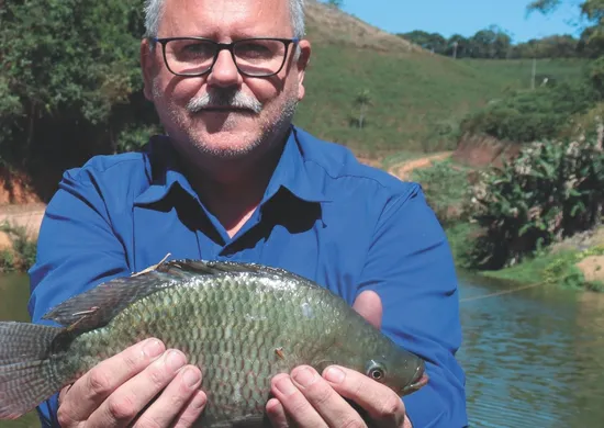 Imagem ilustrativa da imagem Cooperativa investe R$ 12 milhões para ampliar produção de tilápia