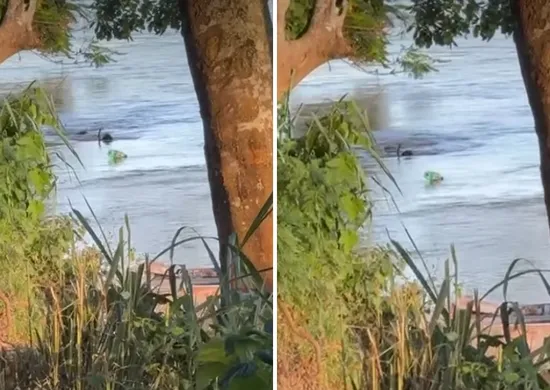 Imagem ilustrativa da imagem Criança de 8 anos morre afogada no Rio Doce, no Norte do ES