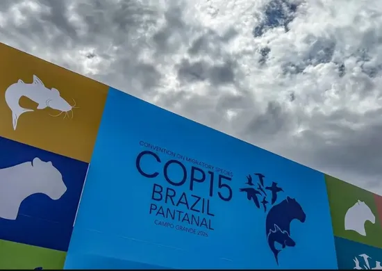 Imagem ilustrativa da imagem Cúpula de líderes orienta debates para COP15 em Mato Grosso do Sul