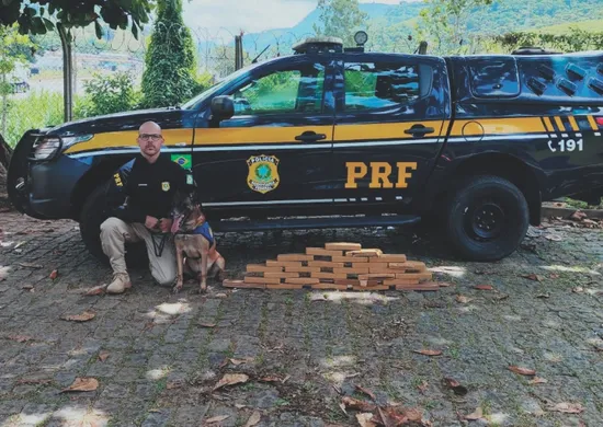 Imagem ilustrativa da imagem ES registra apreensão de quase 10 toneladas de drogas em um ano