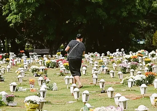 Imagem ilustrativa da imagem Entenda a lei que autoriza enterro de pets em túmulos de famílias na Serra