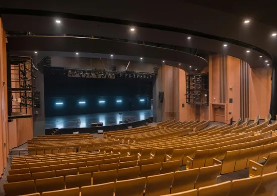 Imagem ilustrativa da imagem Espetáculo “A Floresta dos Dunduns” abre vagas para atores e atrizes