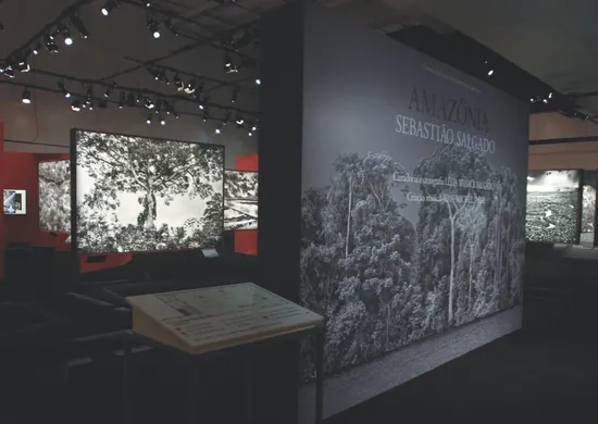Imagem ilustrativa da imagem Exposição “Amazônia”, de Sebastião Salgado, chega a 12 mil visitantes em Vitória