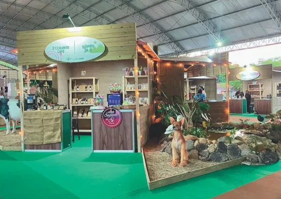 Imagem ilustrativa da imagem Feira mistura turismo e cultura em Santa Teresa