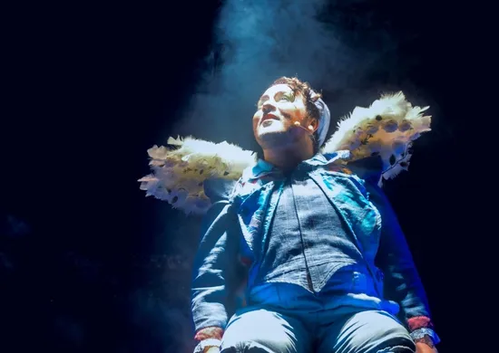 Imagem ilustrativa da imagem Festival Vitória das Artes estreia na Ilha das Caieiras com teatro e circo