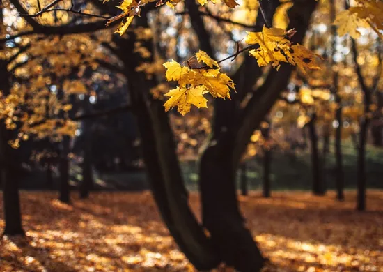 Imagem ilustrativa da imagem Fim do verão: Como vai ser o clima durante o outono no ES?