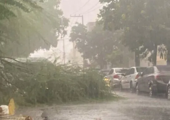 Imagem ilustrativa da imagem Gelo no Sertão: entenda o que causou a chuva de granizo em Serra Talhada