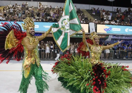 Imagem ilustrativa da imagem LIESGE explica paralisação no desfile da Unidos da Piedade após queda de energia
