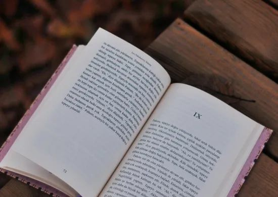 Imagem ilustrativa da imagem Livro defende tratamento de autismo com psicanálise