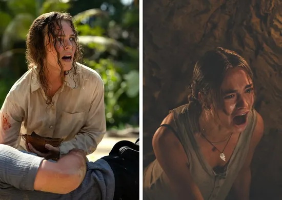 Imagem ilustrativa da imagem Luta pela sobrevivência em dois filmes de terror em cartaz nos cinemas