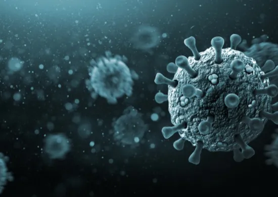 Imagem ilustrativa da imagem Ministério da Saúde diz que vírus Nipah não ameaça o Brasil