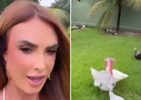 Imagem ilustrativa da imagem Nicole Bahls batiza peru de Juliano Floss e justifica: 'Bonzinho e inteligente'