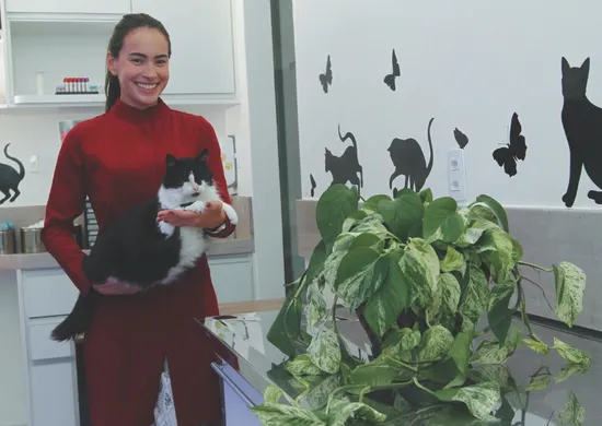 Imagem ilustrativa da imagem O que fazer se seu pet ingerir plantas tóxicas