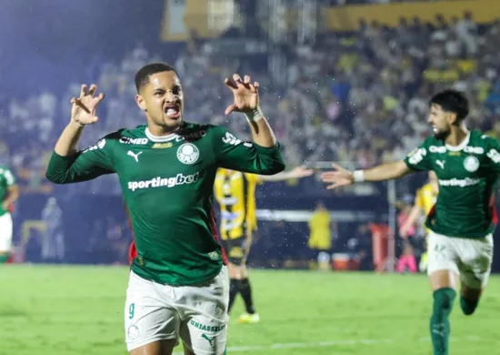 Imagem ilustrativa da imagem Palmeiras é campeão paulista pela 27ª vez com vitória sobre o Novorizontino