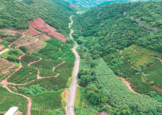 Imagem ilustrativa da imagem Pavimentação de rodovia fortalece agricultura e muda realidade em Itarana