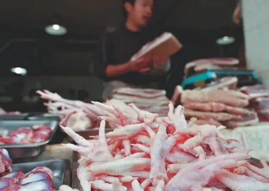 Imagem ilustrativa da imagem Pé de galinha produzido no ES atrai interesse milionário da China