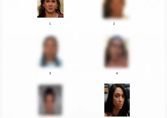 Imagem ilustrativa da imagem Polícia de PE usa fotos de deputadas federais trans em álbum de suspeitos no Recife