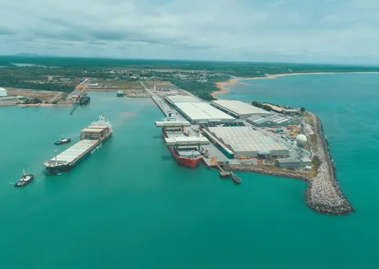 Imagem ilustrativa da imagem Portocel tem maior volume de cargas de sua história