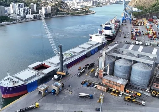 Imagem ilustrativa da imagem Portos de Vitória e Vila Velha movimentam 1,8 milhão de toneladas no 1º trimestre