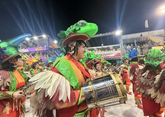 Imagem ilustrativa da imagem Próximo desfile do Carnaval de Vitória vai ser em janeiro de 2027